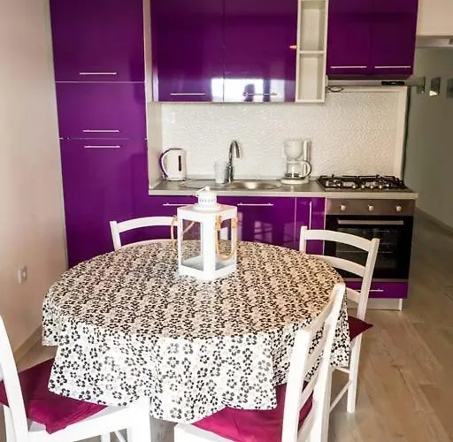 Oaza Planjke - Viola *