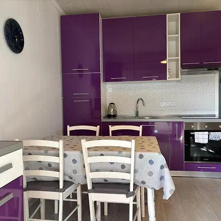 Oaza Planjke - Viola *