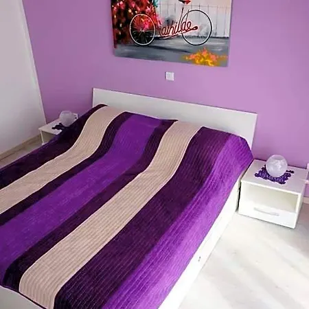 Oaza Planjke - Viola *