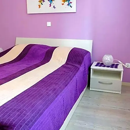 Oaza Planjke - Viola *